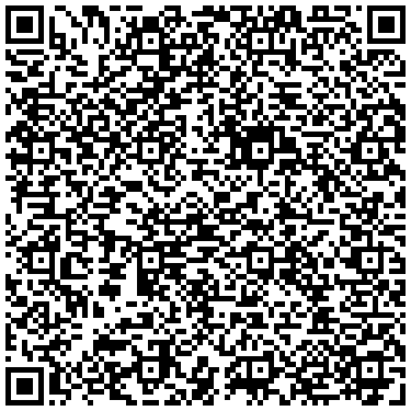 BOLT12 QR Code